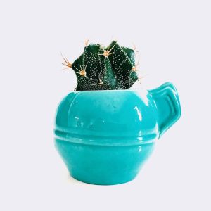 منتجات العناية والجمال 3