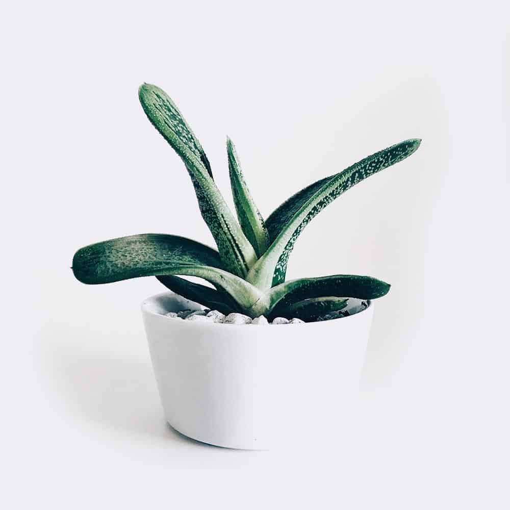 منتجات العناية والجمال 1