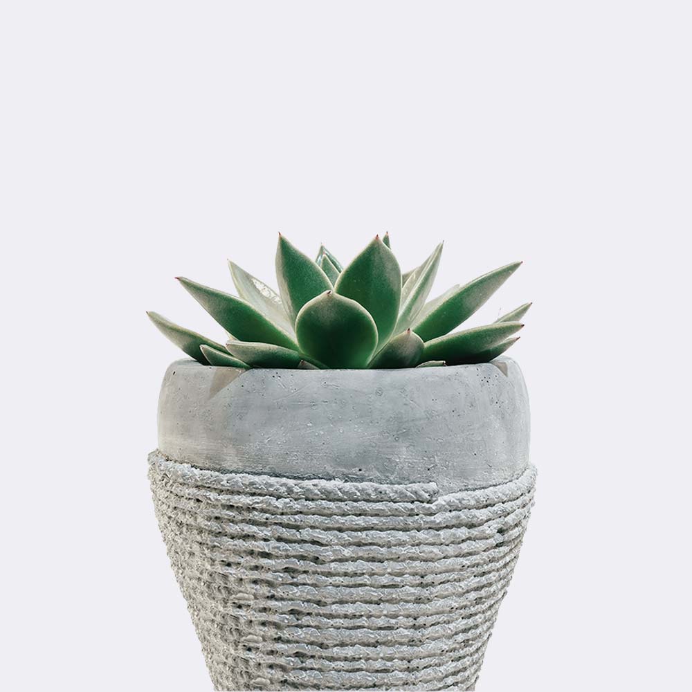 مجوهرات واكسسوارات 1